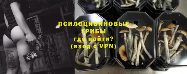мдма Белокуриха