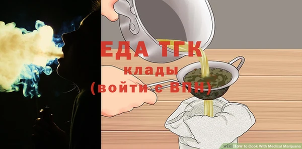 индика Тихвин