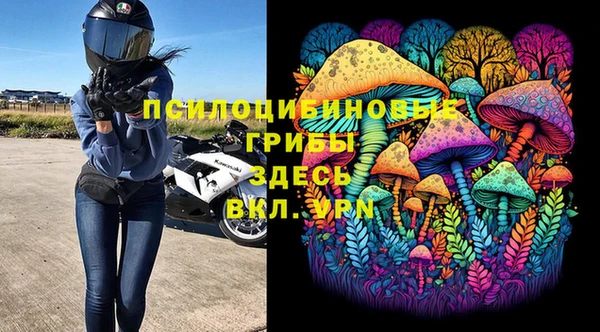 мдма Белокуриха